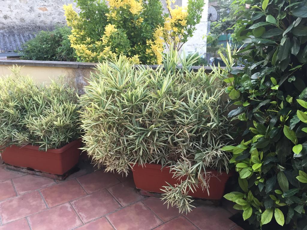 A Casa Di Grace Panzió Cassino Kültér fotó